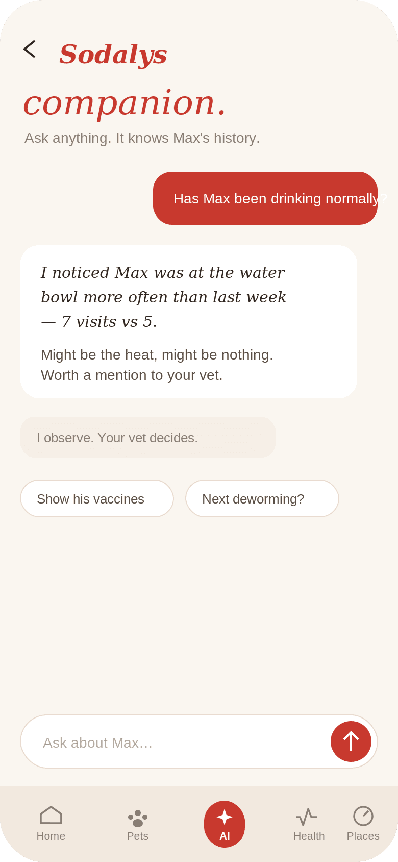 Sodalys — AI companion screen