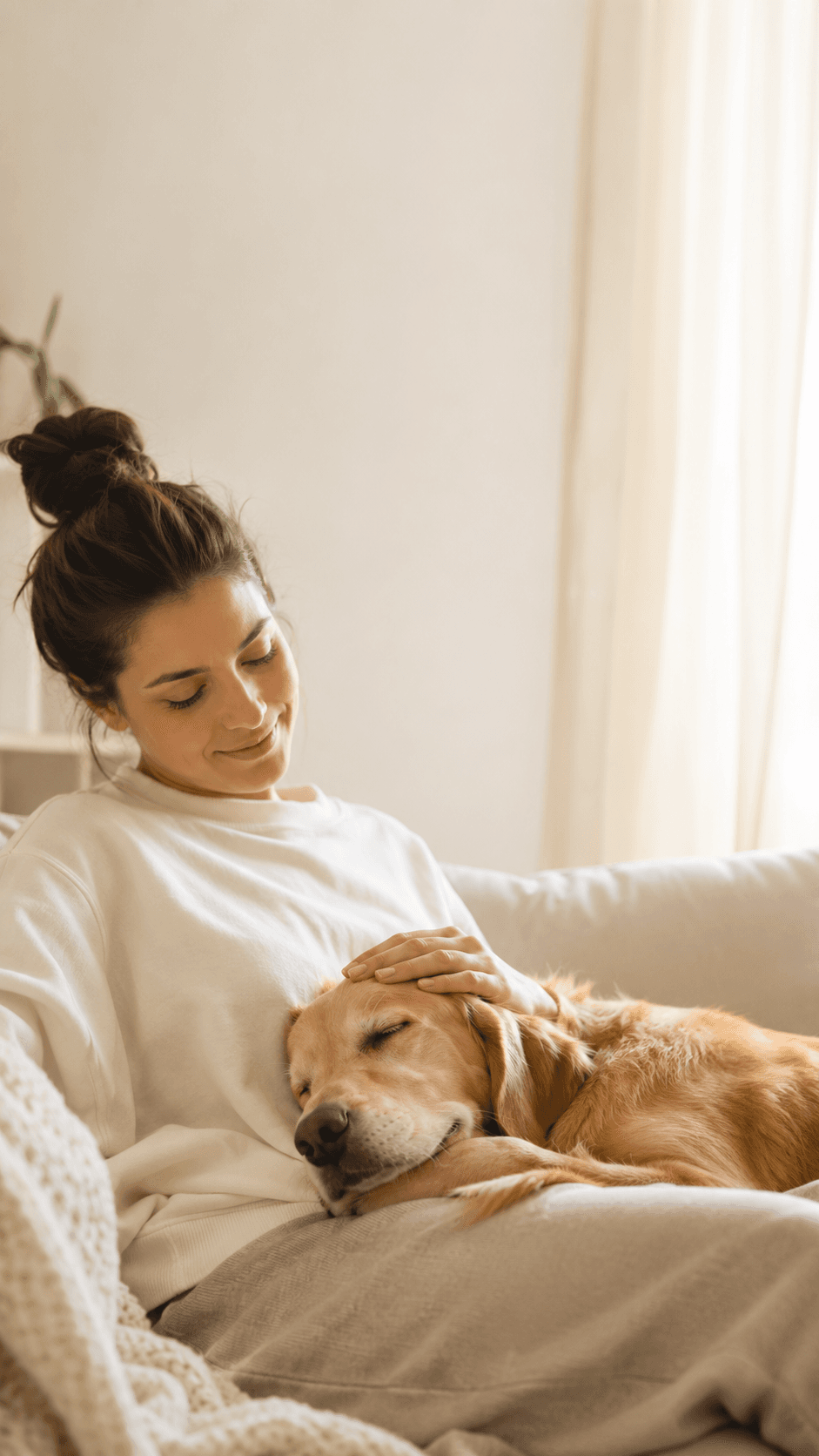 A dog at home